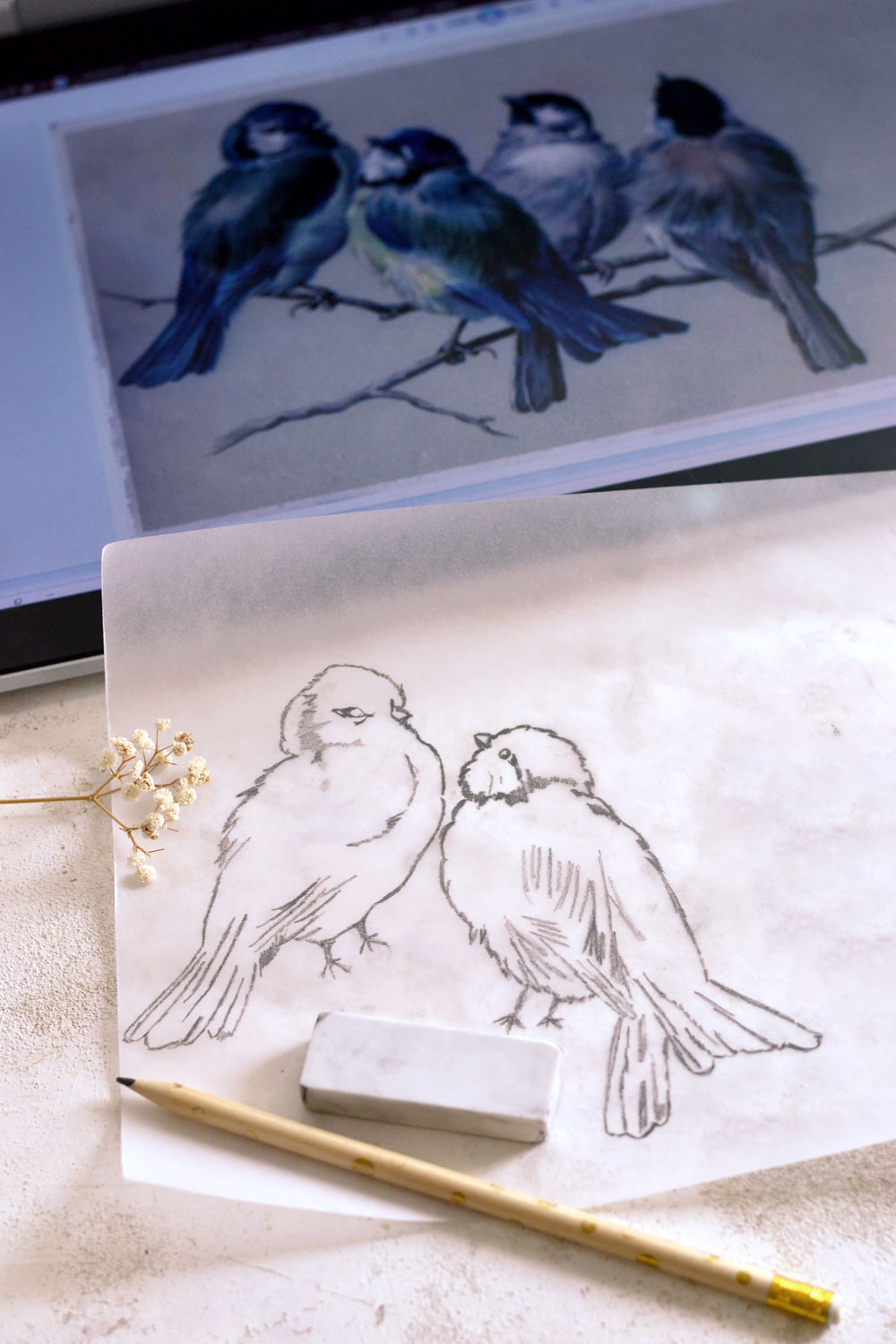 DIY Tracing Paper Sketch Birds - Dreams Factory