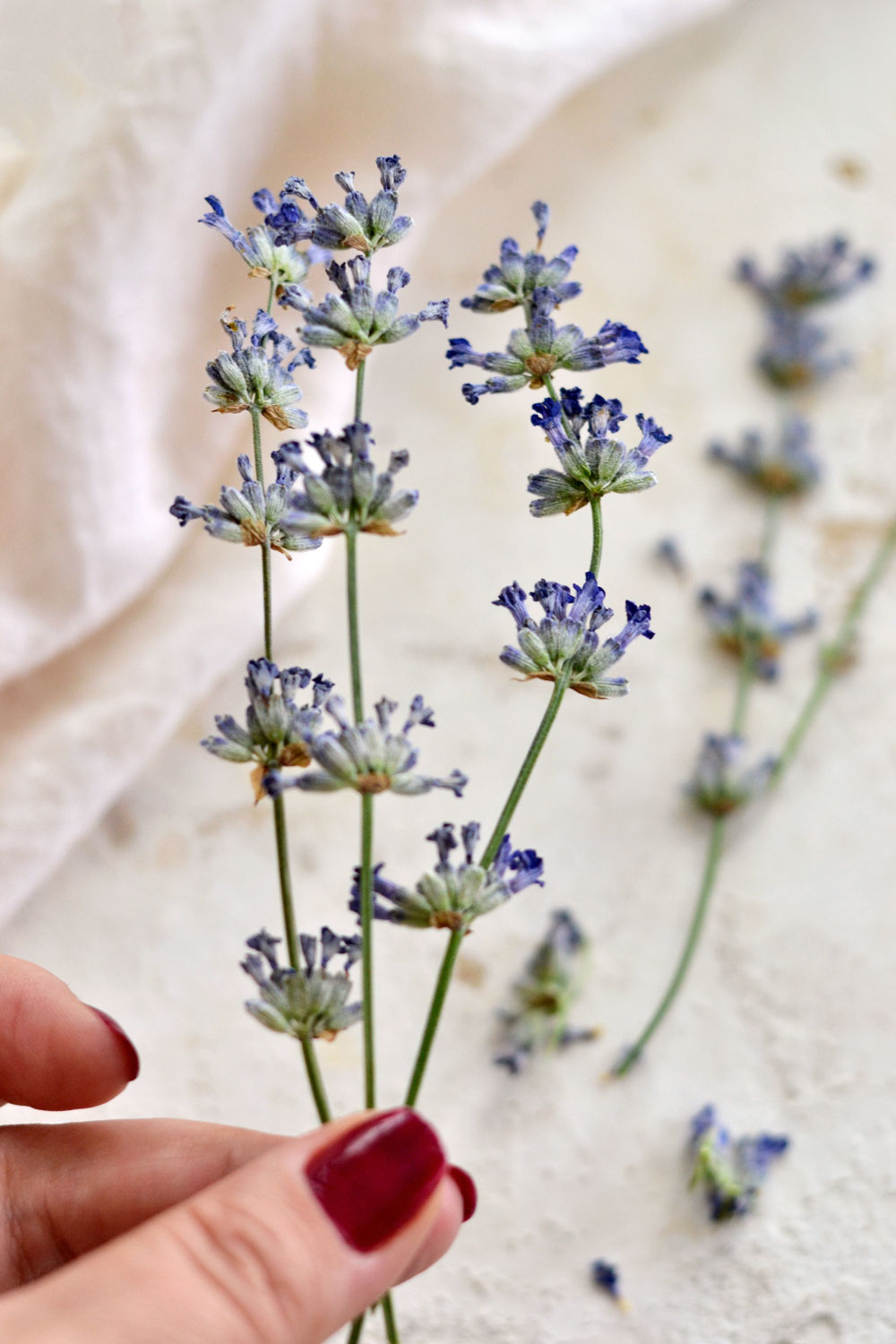 Learn how to easily press lavender flowers in only 10 seconds!