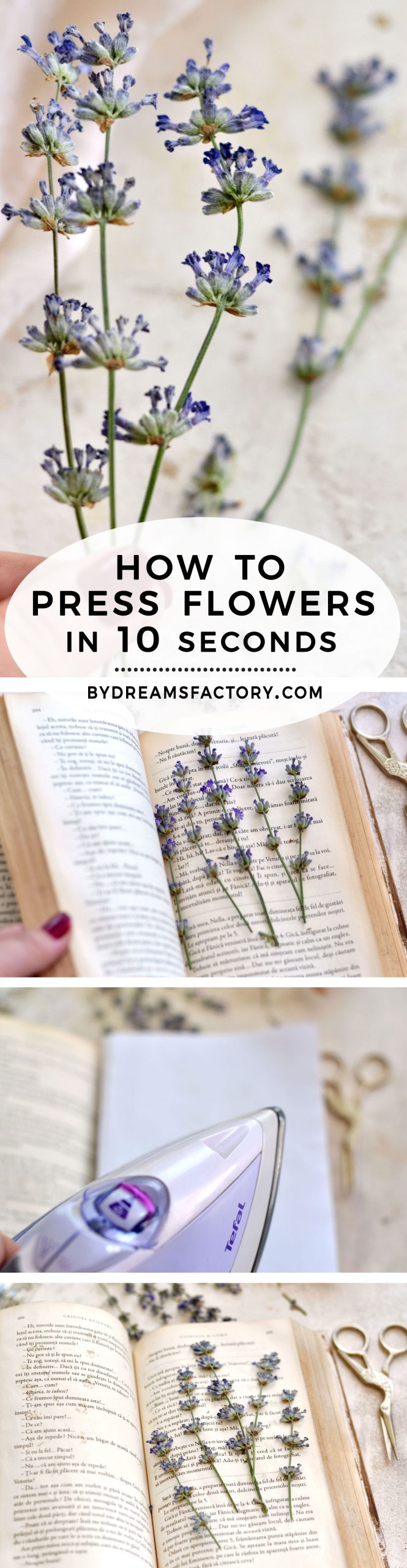 Learn how to easily press flowers in only 10 seconds - step by step tutorial
